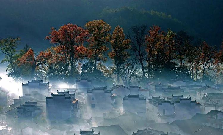 虫虫助手下载